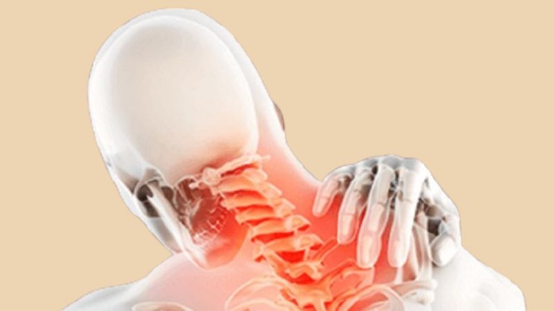 Image_background_beige_joint_Neck_01