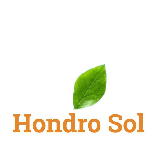 Icon – image with white background, green leaf, and Hondro Sol